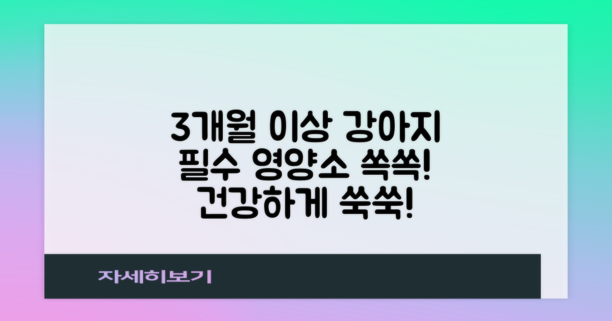 3개월 이상 강아지 필수 영양