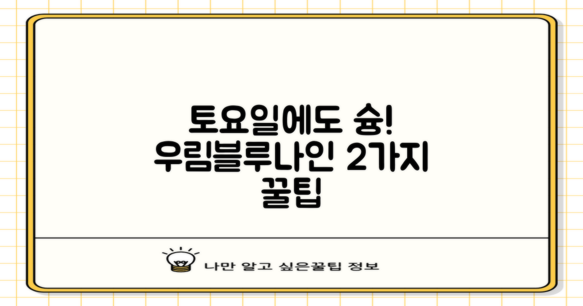 주말에도 편리하게! 우림블루나인우편취급국의 2가지 토요일 운영