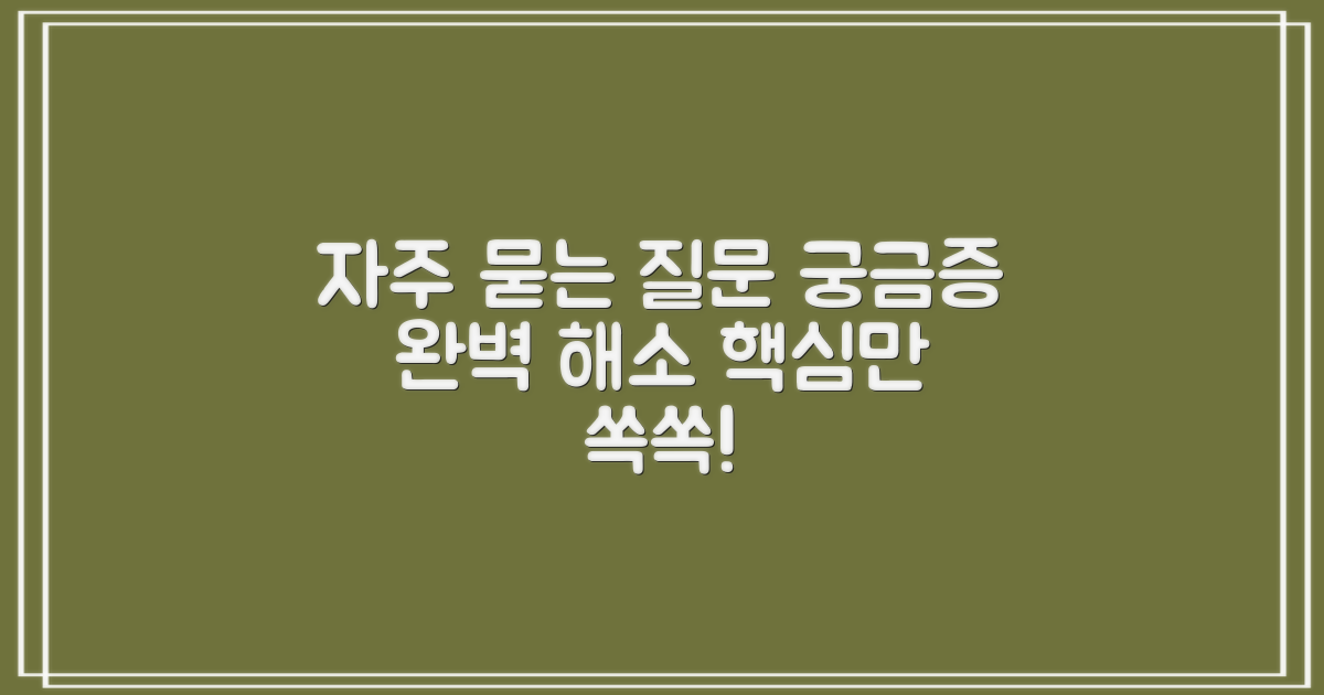 자주 묻는 질문