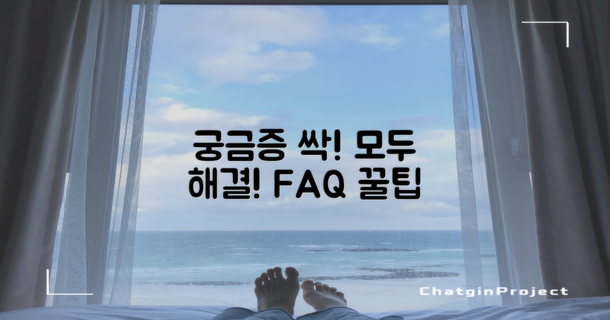 자주 묻는 질문