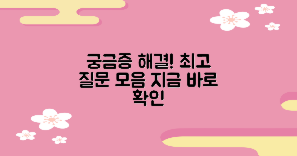 자주 묻는 질문