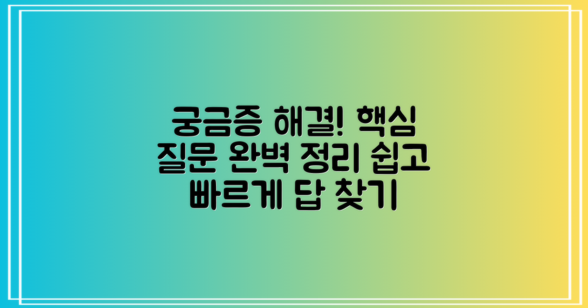자주 묻는 질문