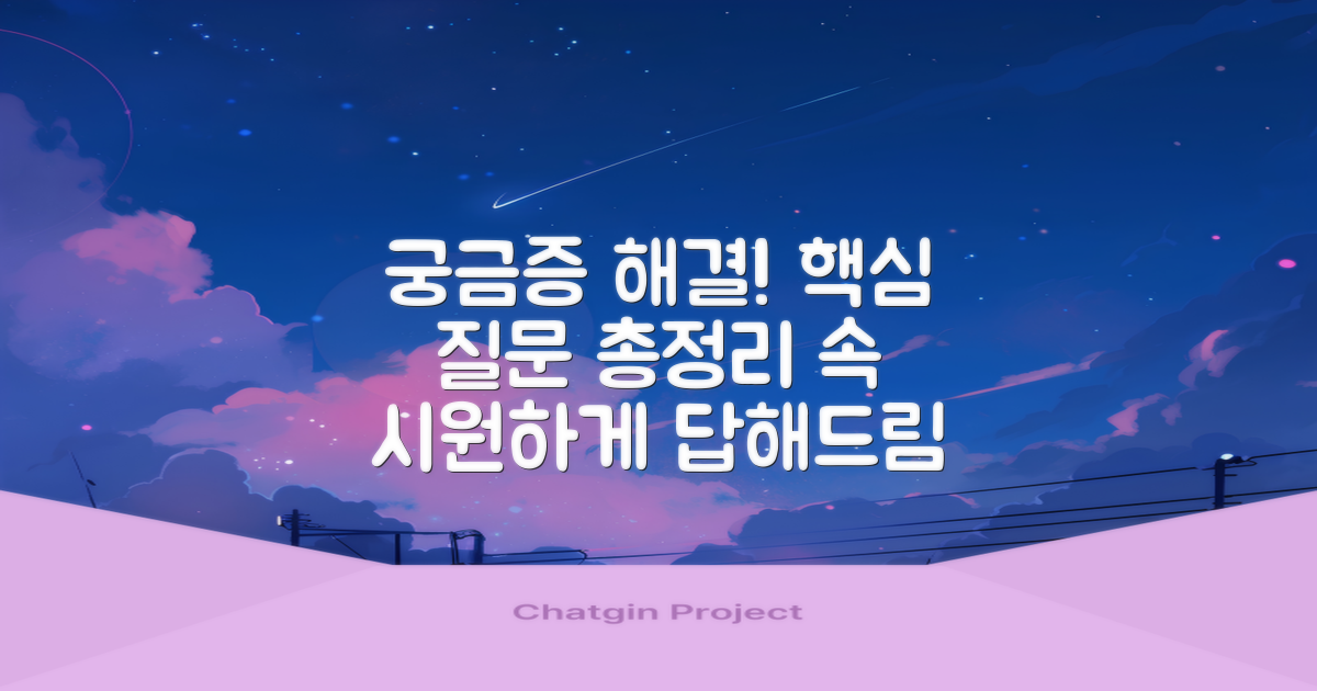 자주 묻는 질문